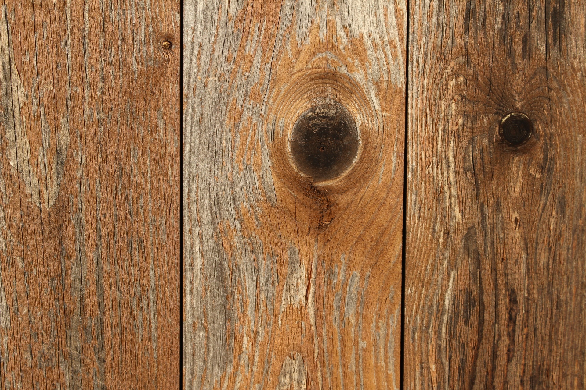 Fundo, velha textura de madeira