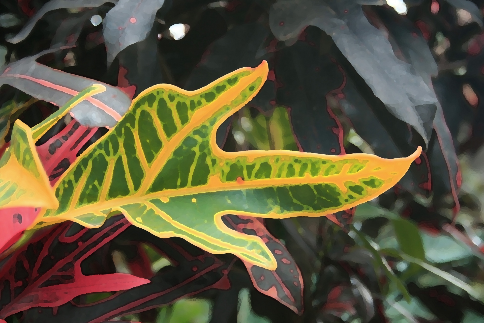 Arty Effect Of Tropical Leaf