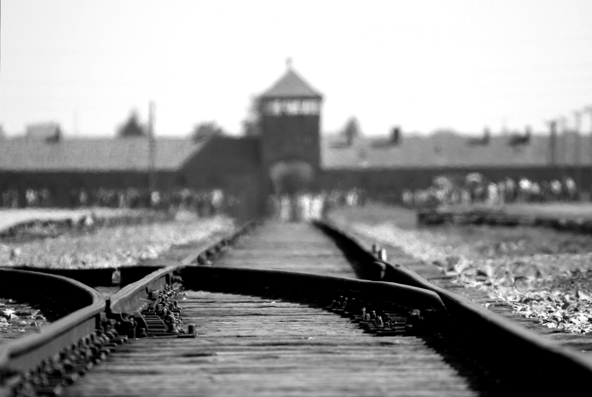 Освенцим Концлагерь