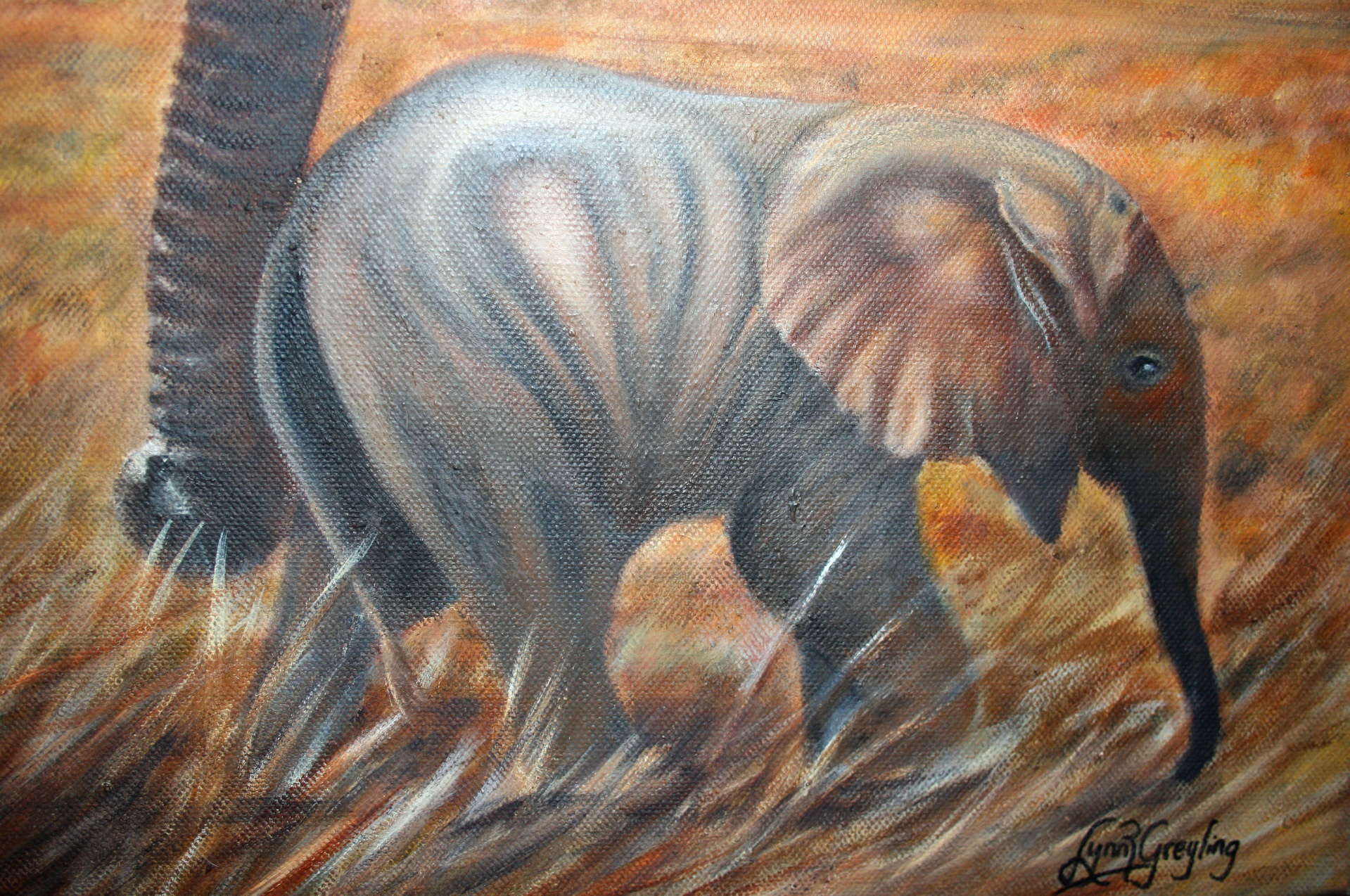 Bebê elefante com o tronco da mãe