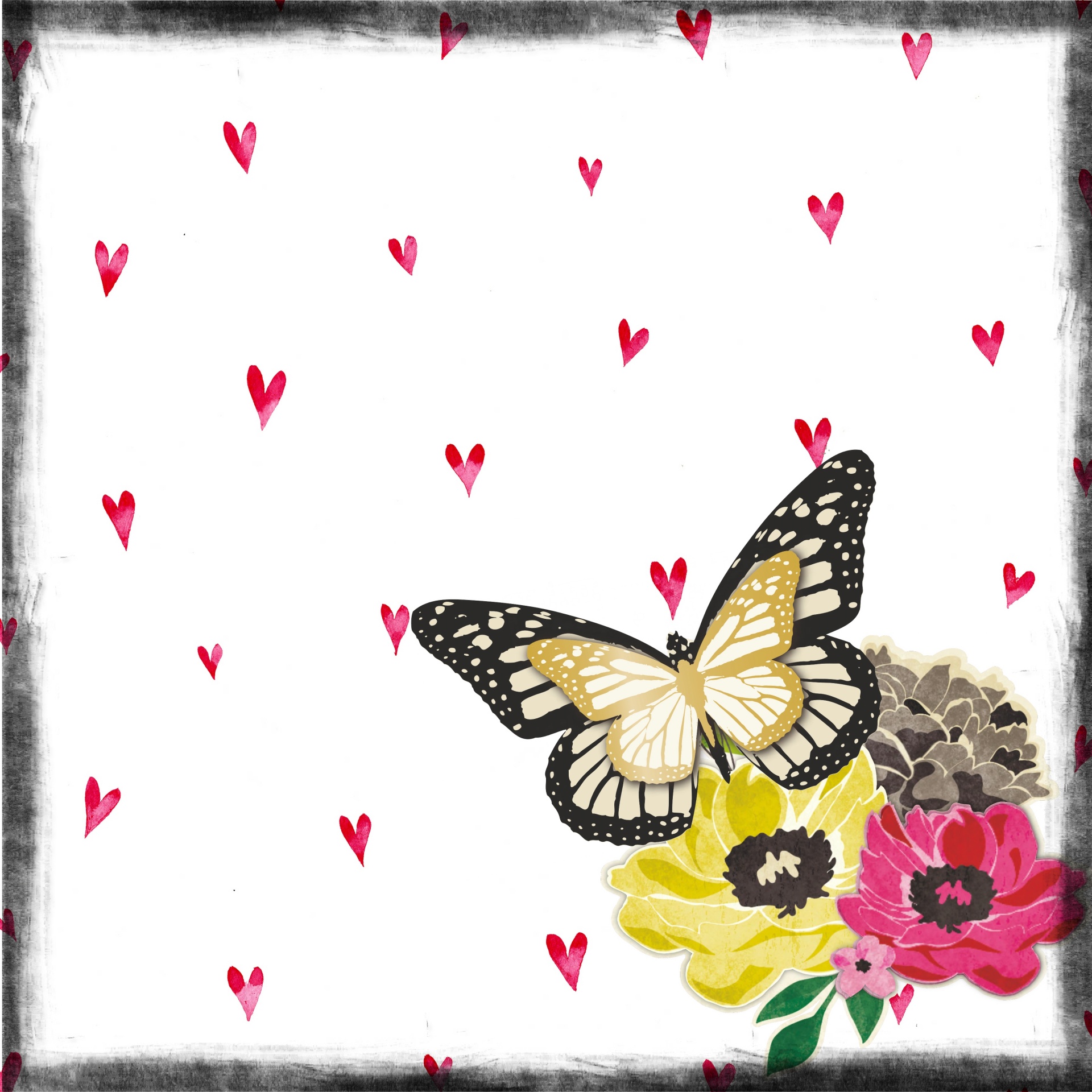 Background Butterfly Flower White