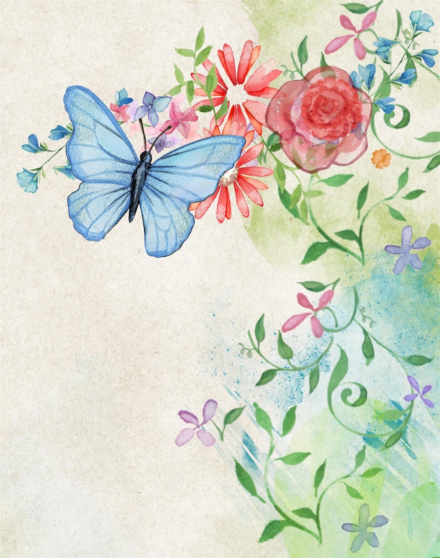 Banner Web Flowers With Butterfly