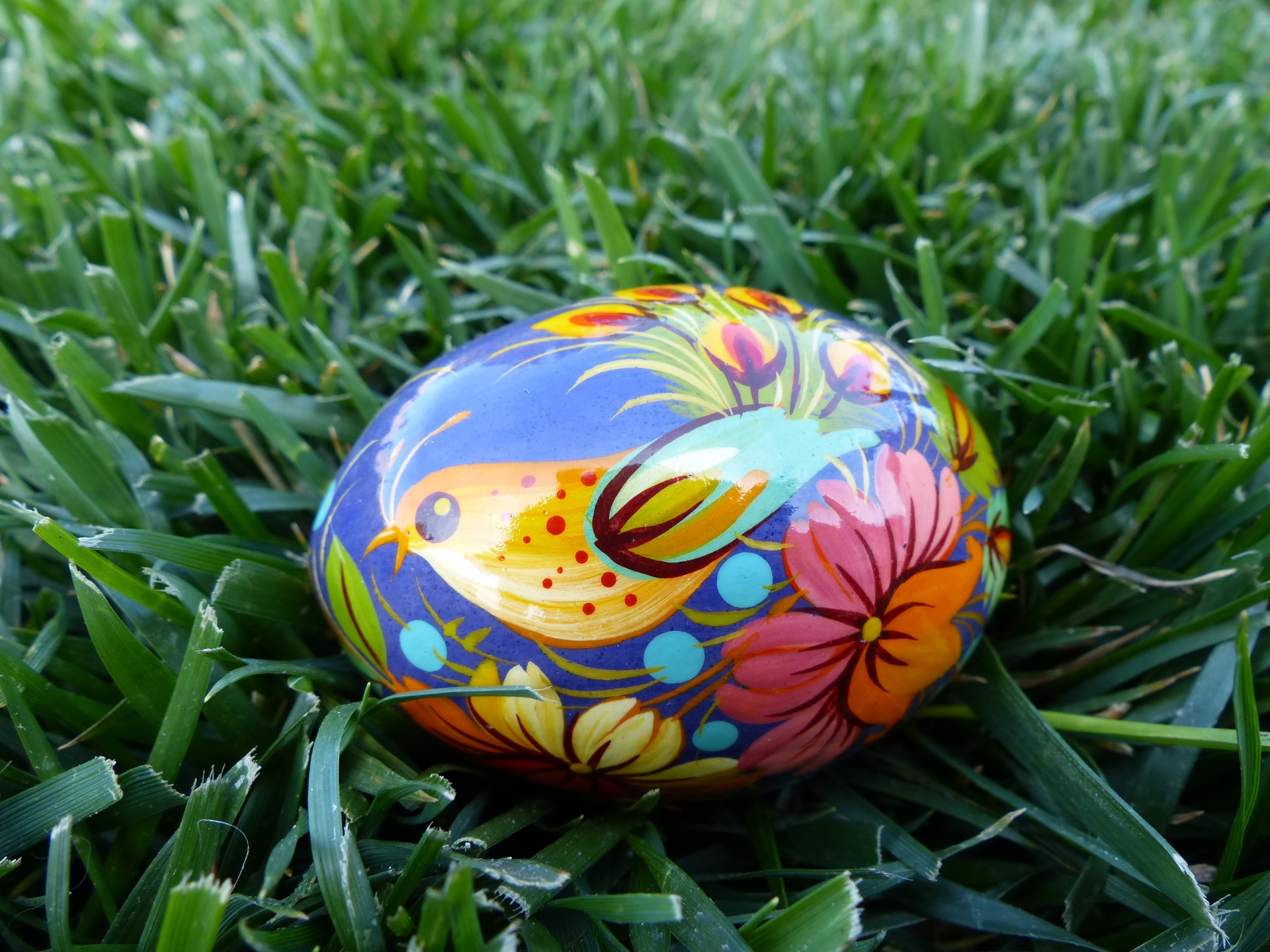 Huevo de ave en la hierba
