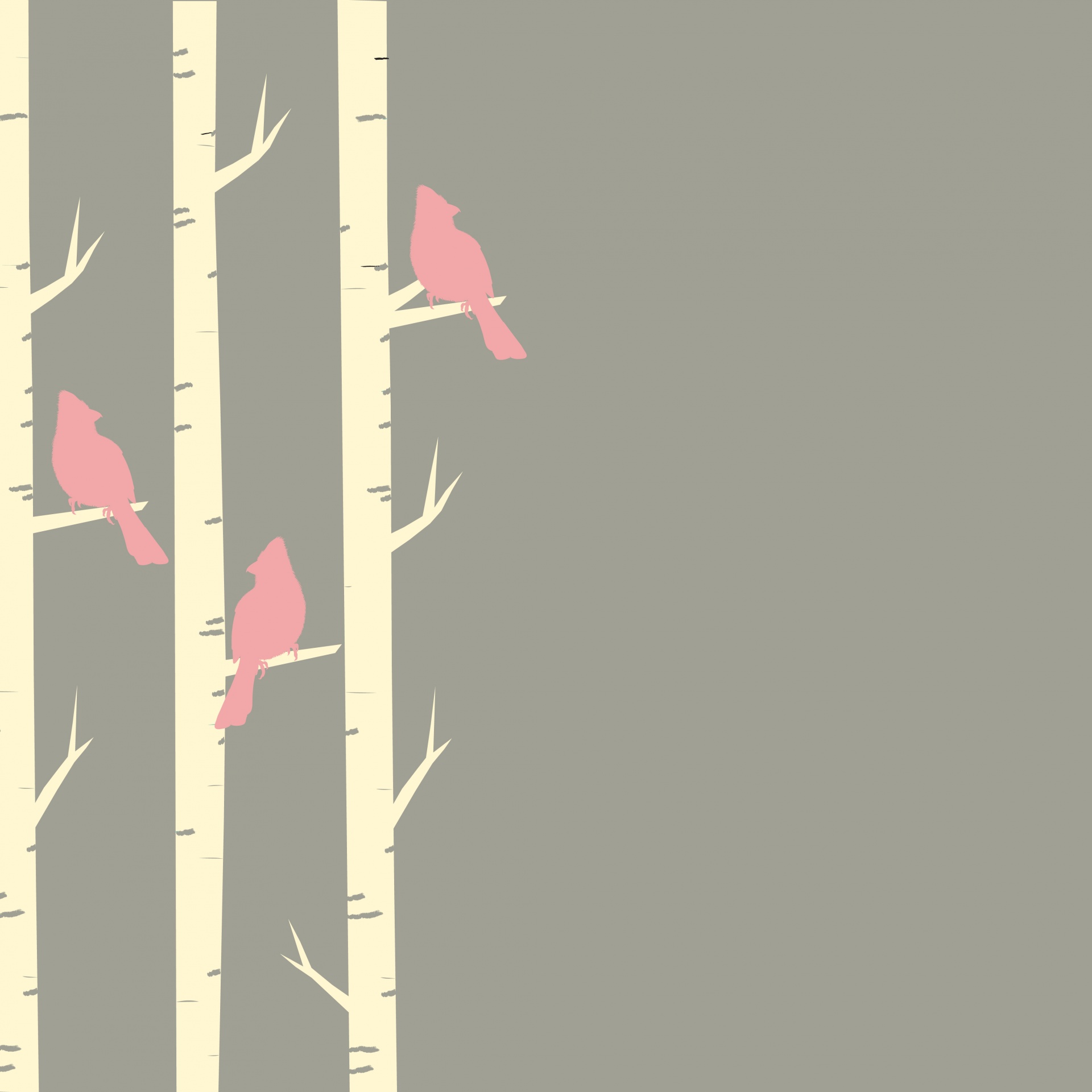 Pássaros & árvores