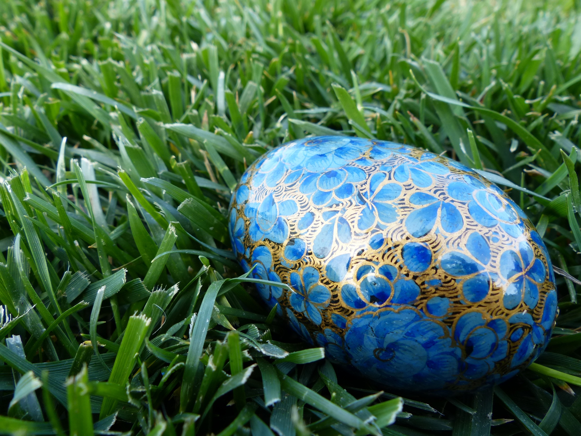 Primer azul del huevo