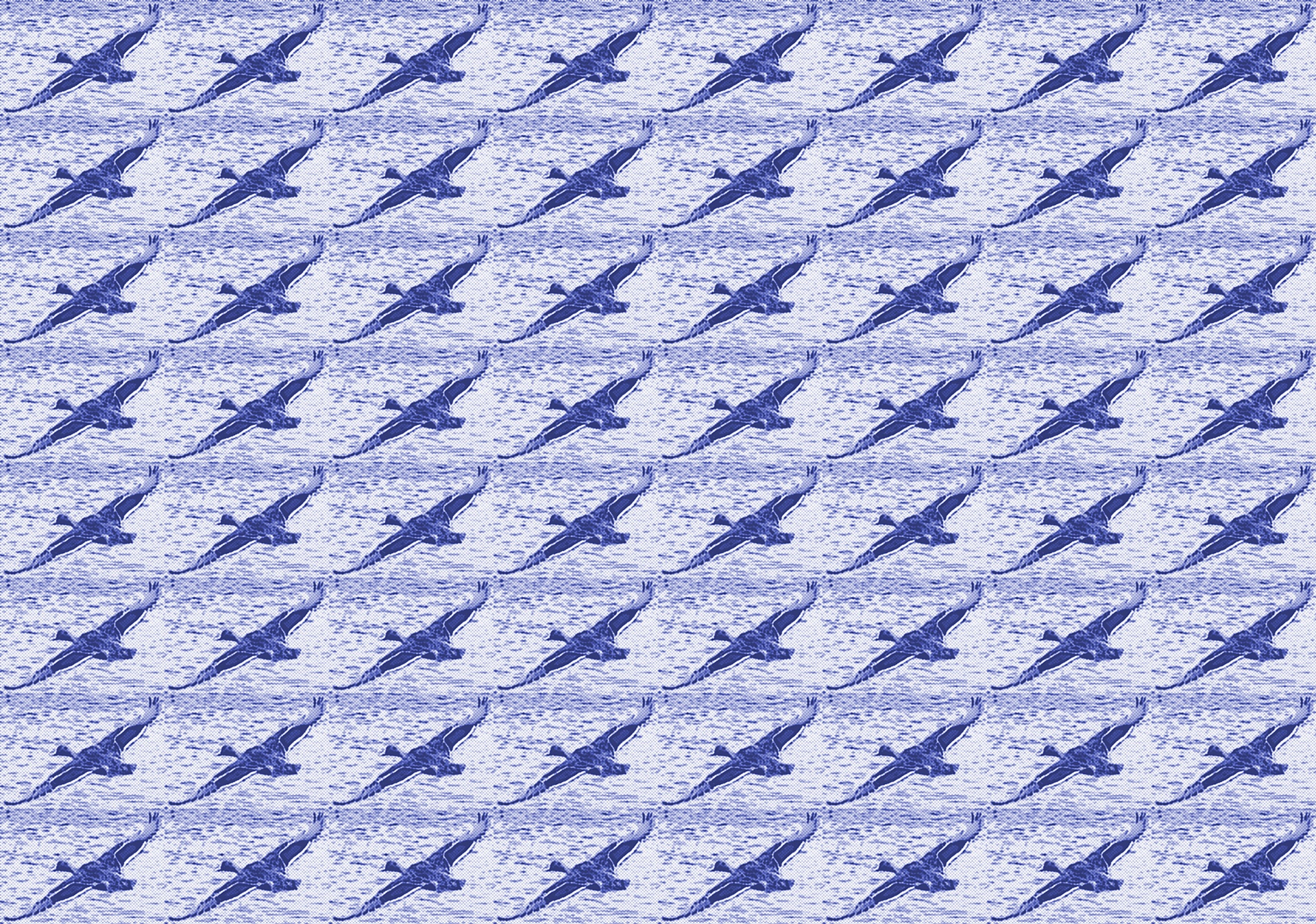 Azul do vôo pato wallpaper 2