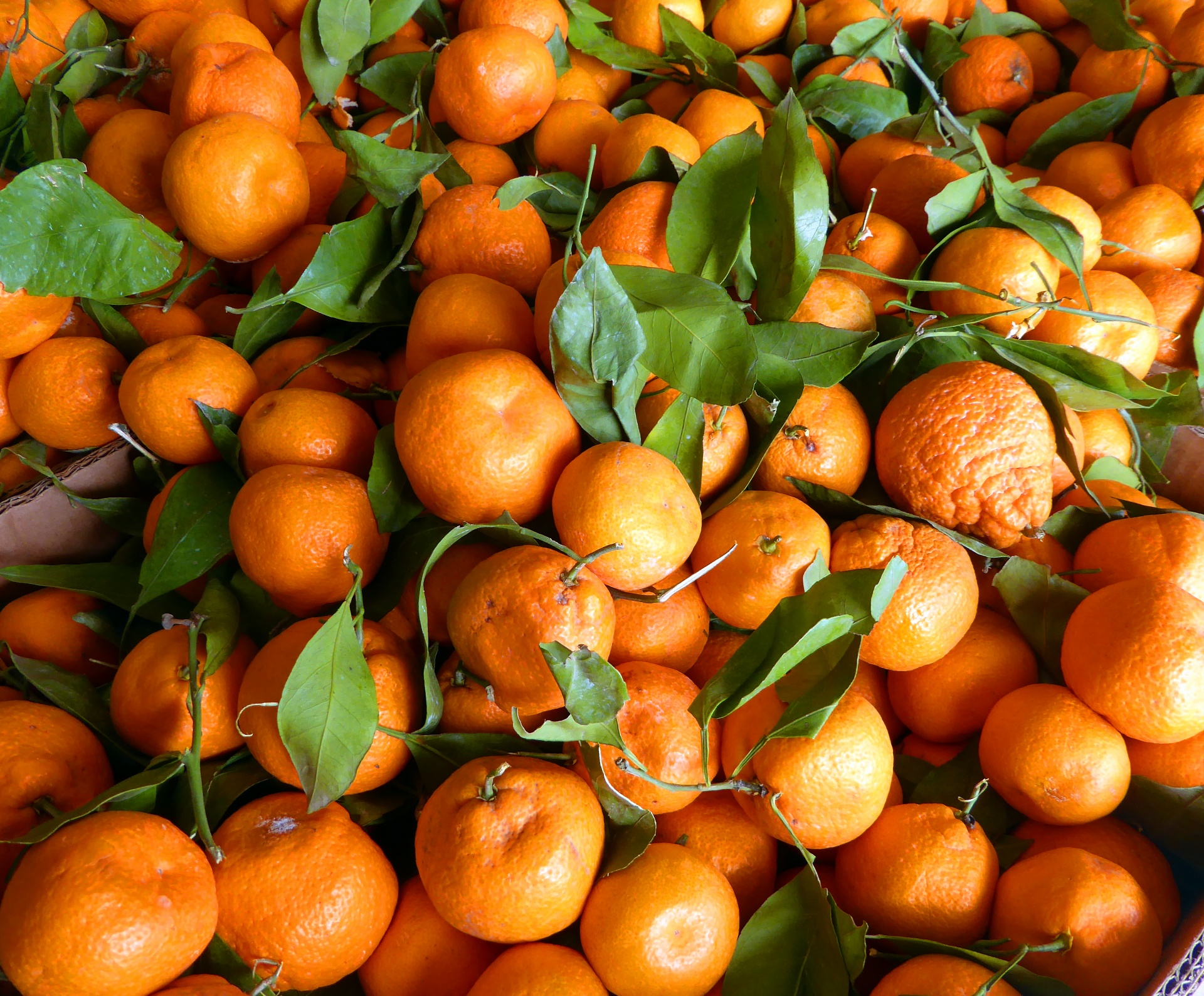 Cajas de mandarinas