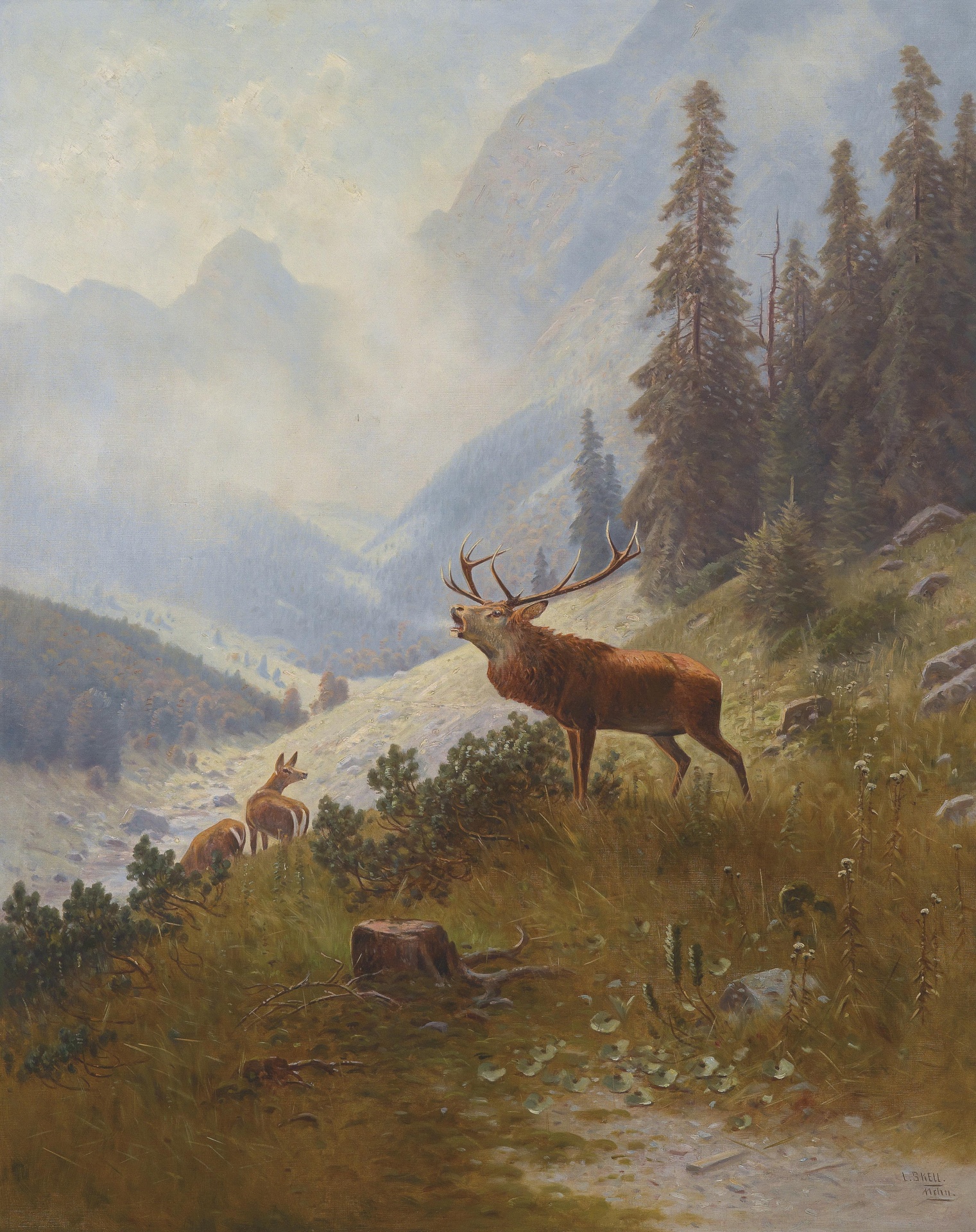 Buck On A Mountainside