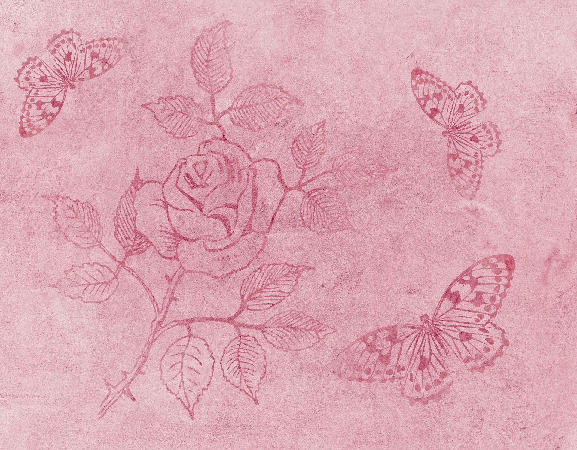 Mariposas, rosa del papel pintado