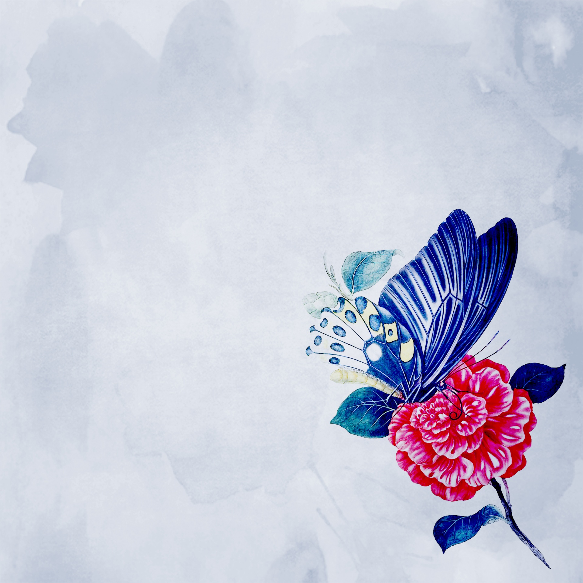 Background borboleta e flor