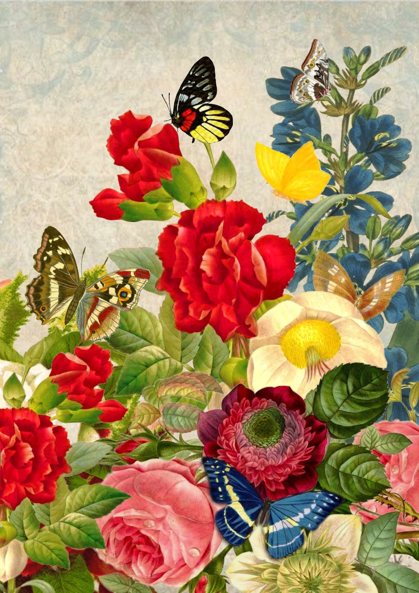 Butterfly Flower Collage Background