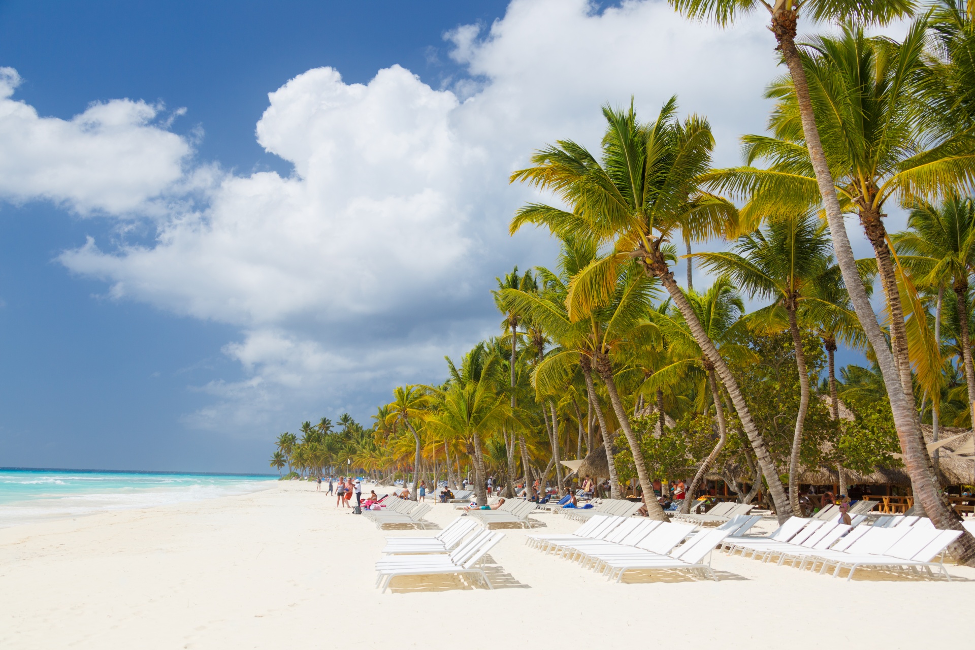 Karibik Strand mit Palmen