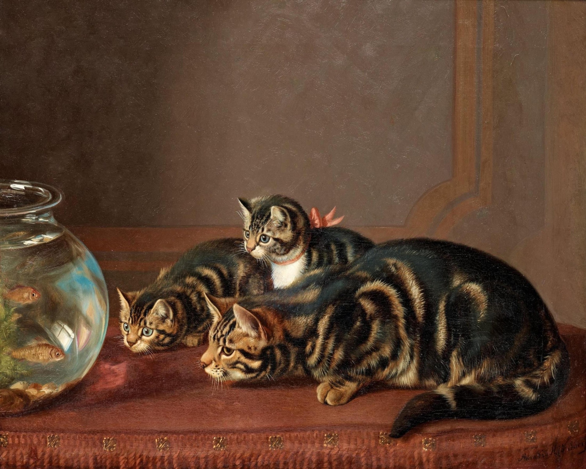 Cats observação de peixes em um Fishbowl