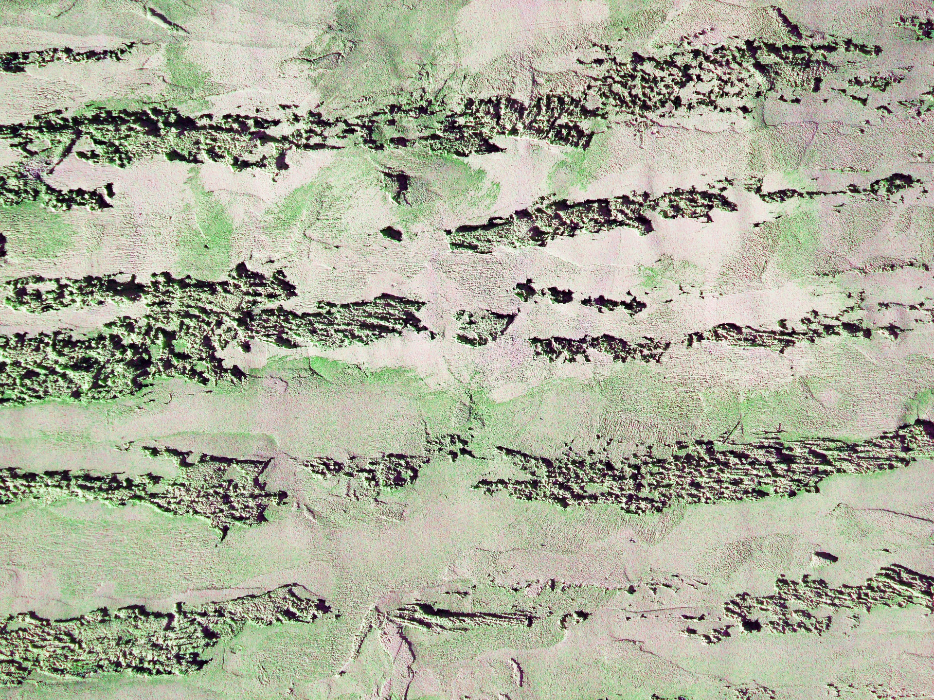 Cement Wall Background - Green