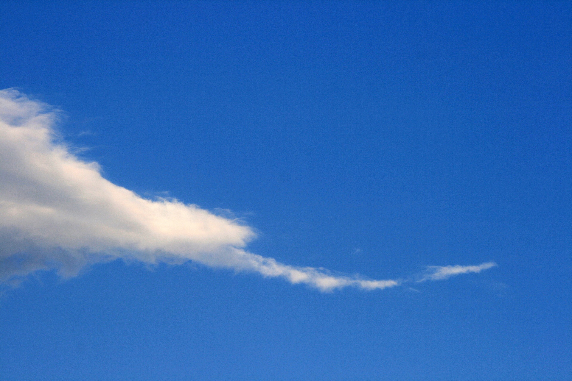 雲の尾