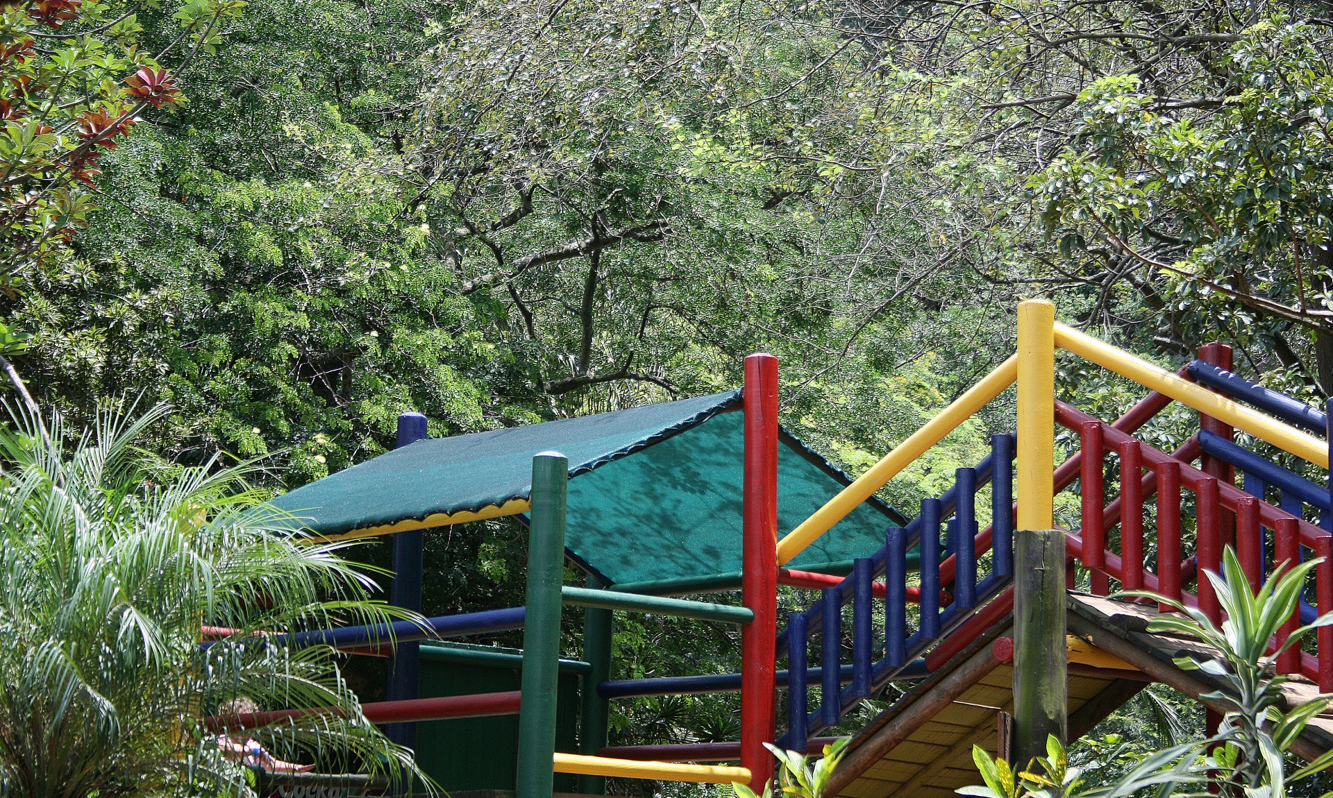 Colorido gimnasio de la selva