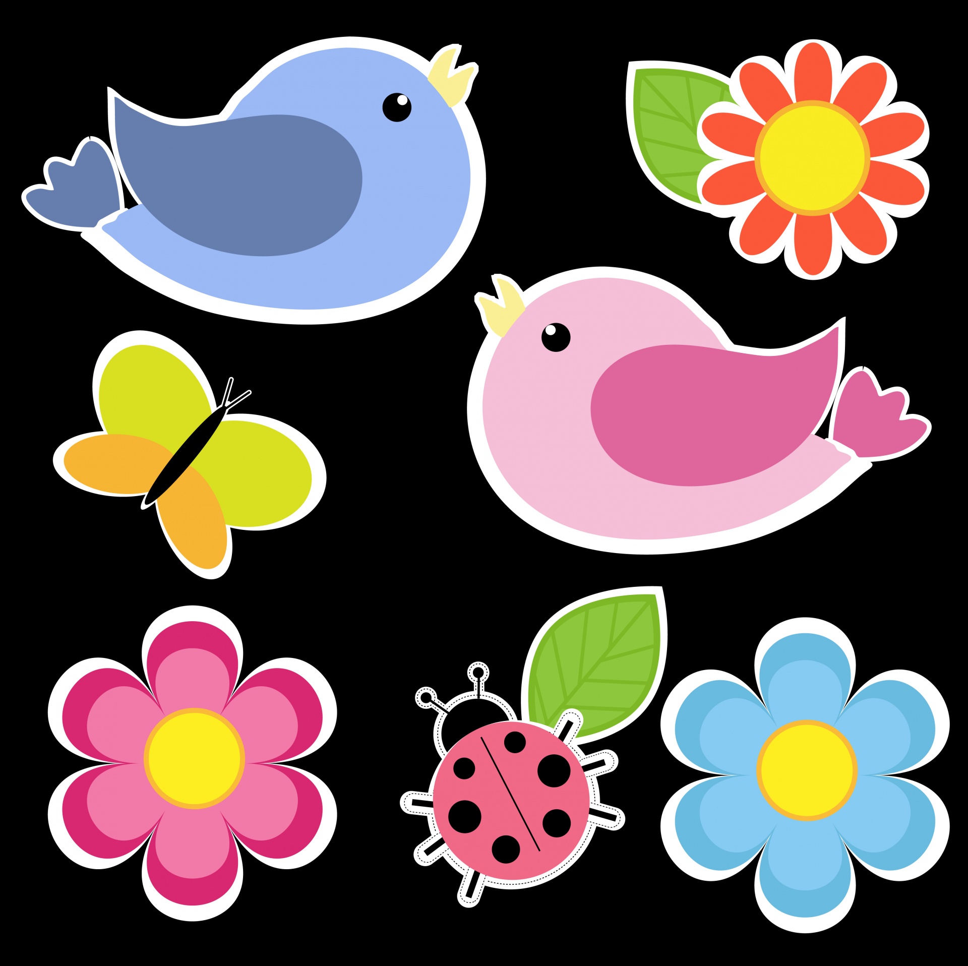 Cute Birds And Flowers