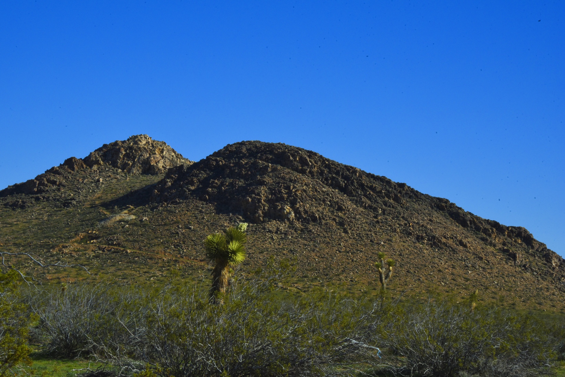 Desert Hills Céu Azul