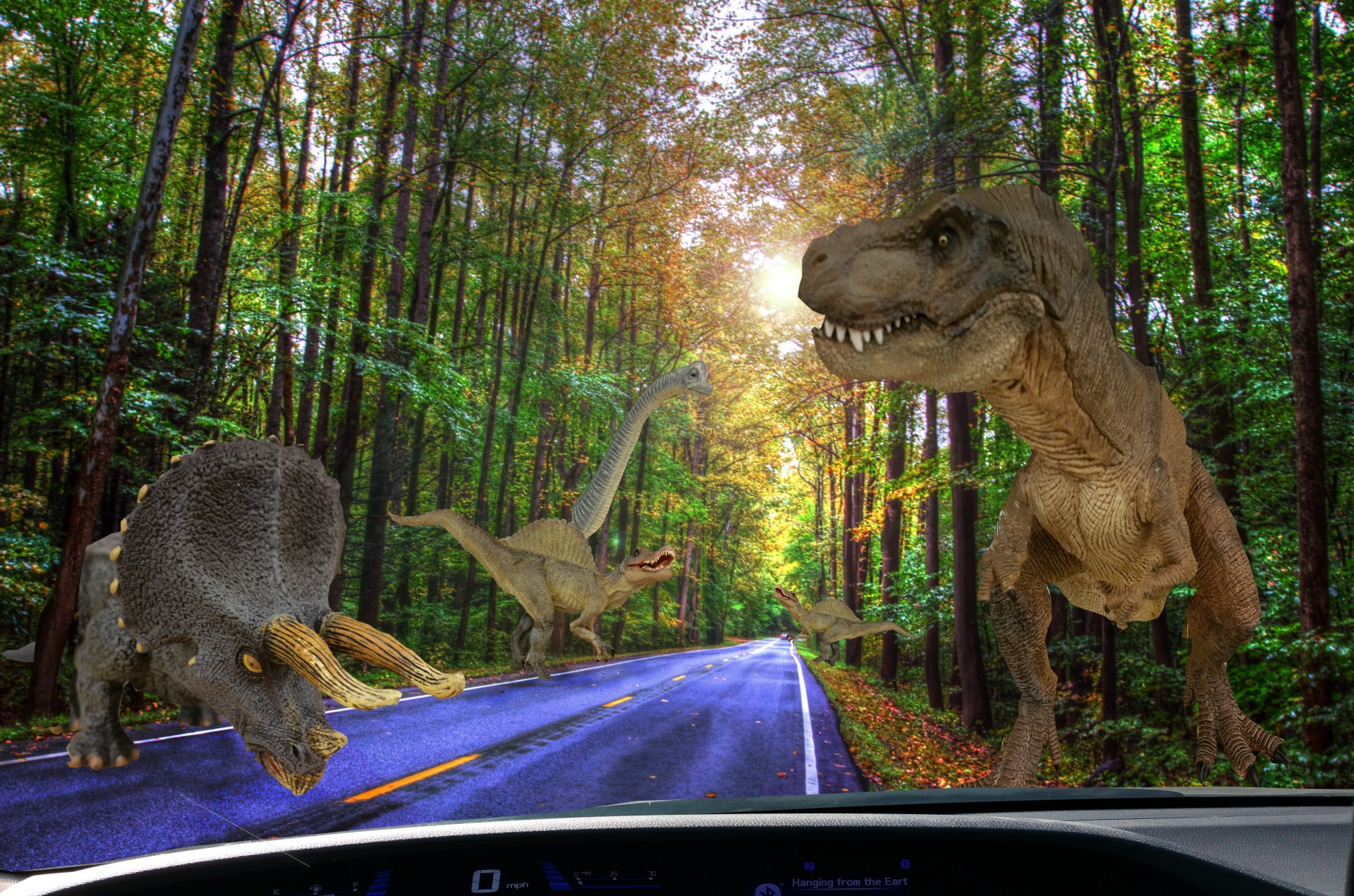 恐竜の道