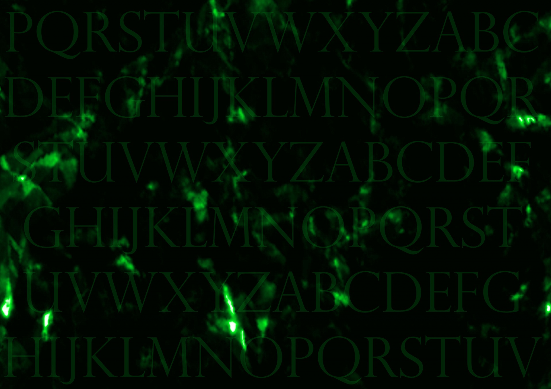 Dark Green Letters