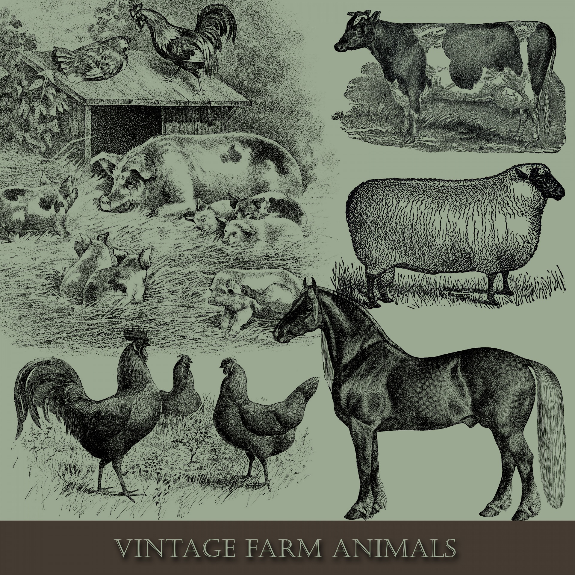 Ilustração ajustada Animal Farm