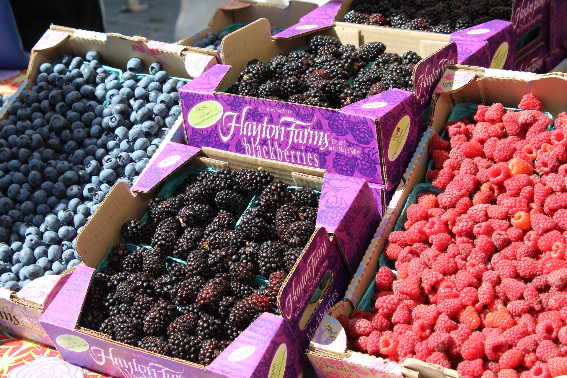 Farmers Market Fresh Berries