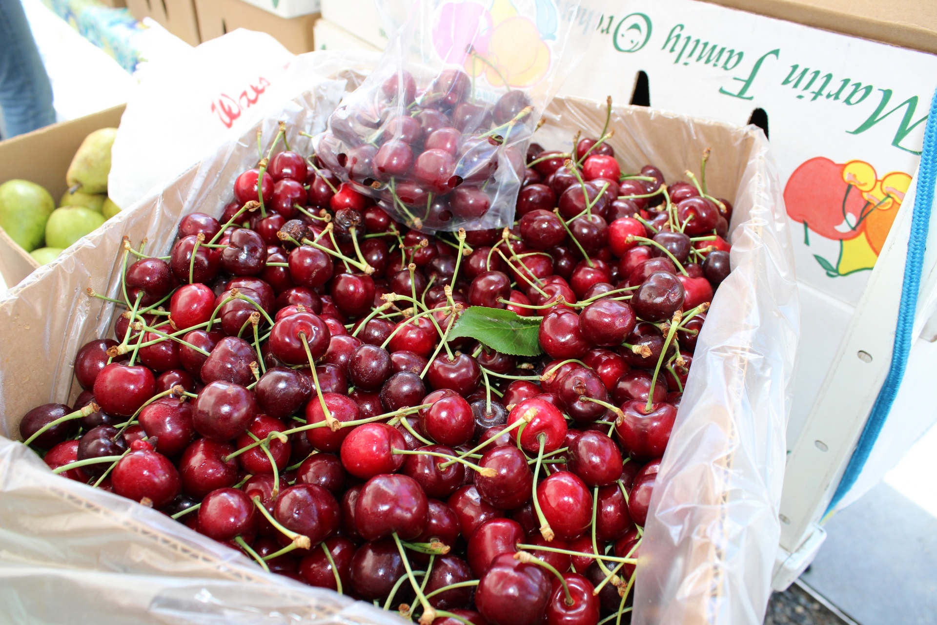 Farmers Market Ripe Cherries