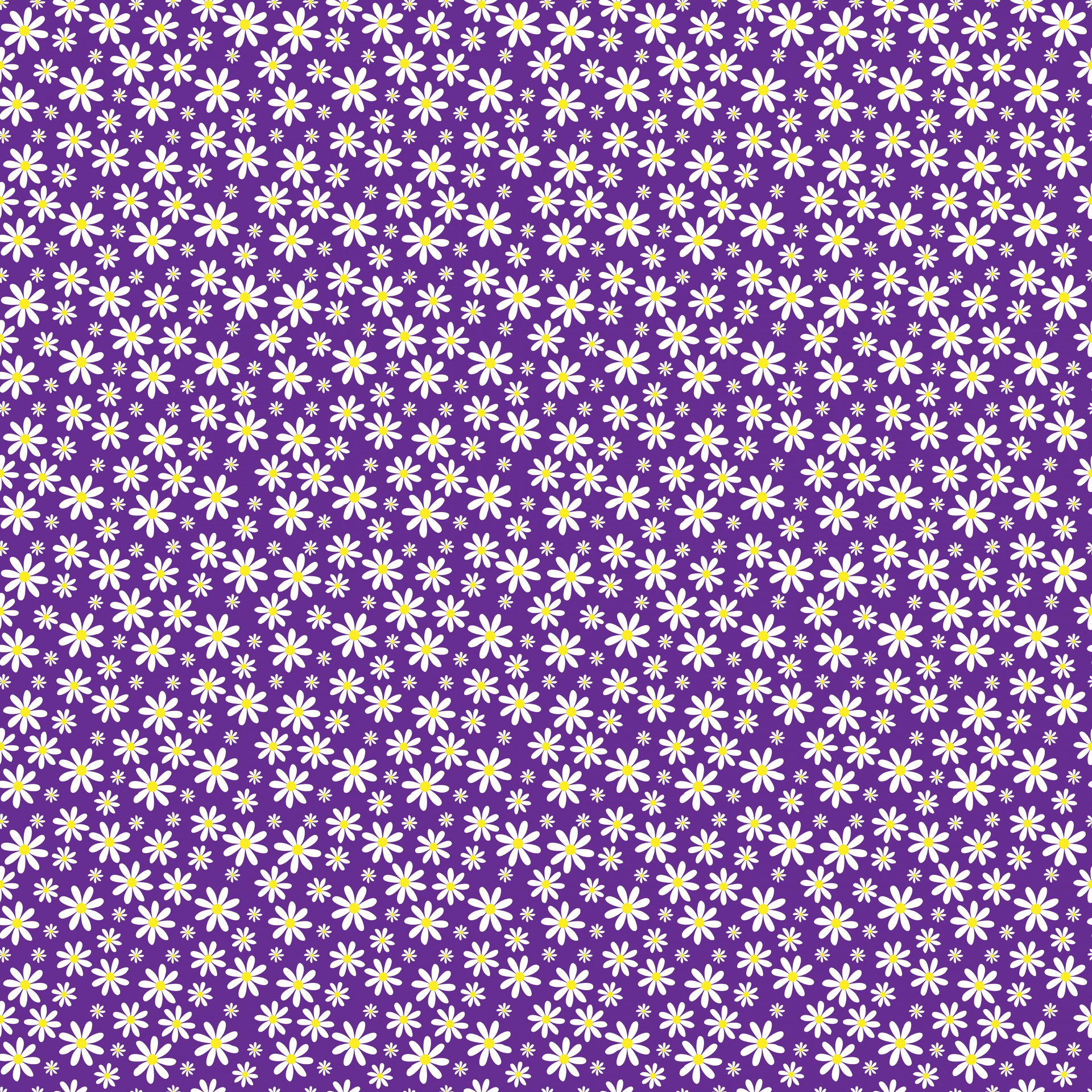 Floral Daisy Flowers Wallpaper