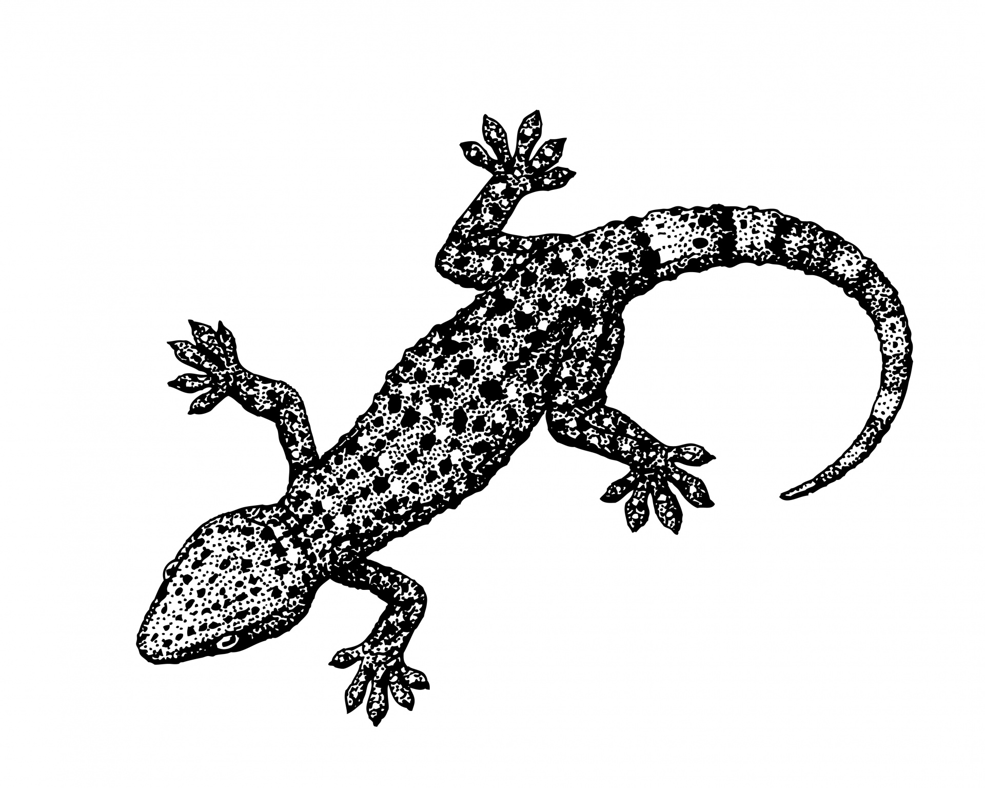 Geckoのイラスト