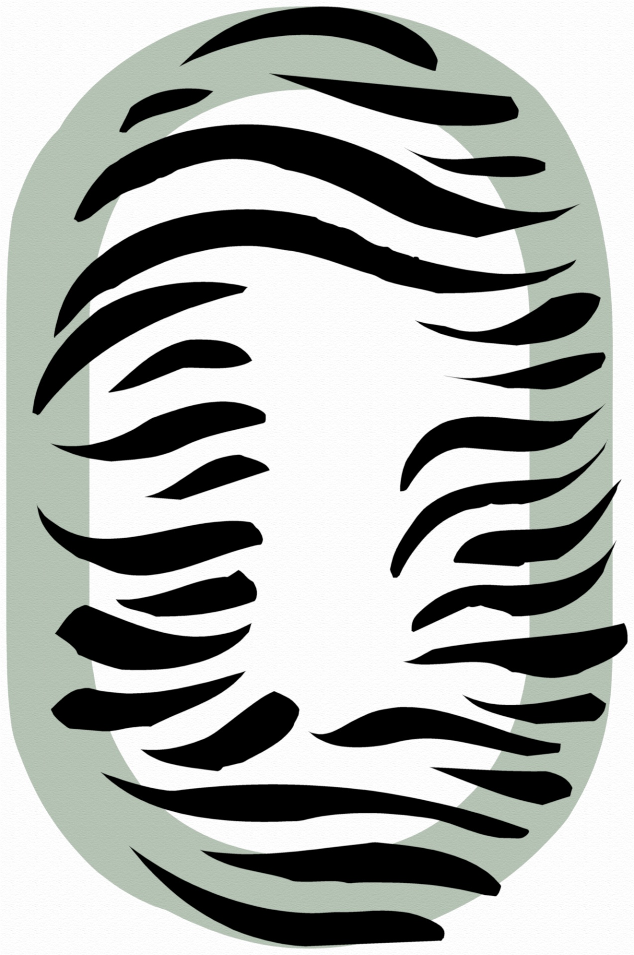 Number 0 Zebra
