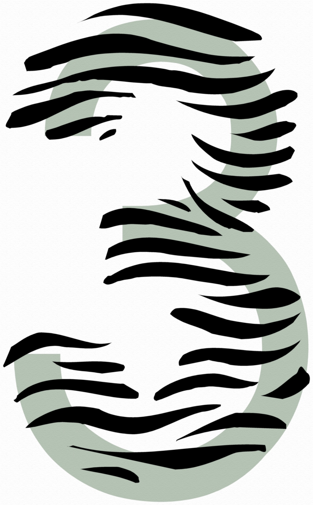 Zebra número 3