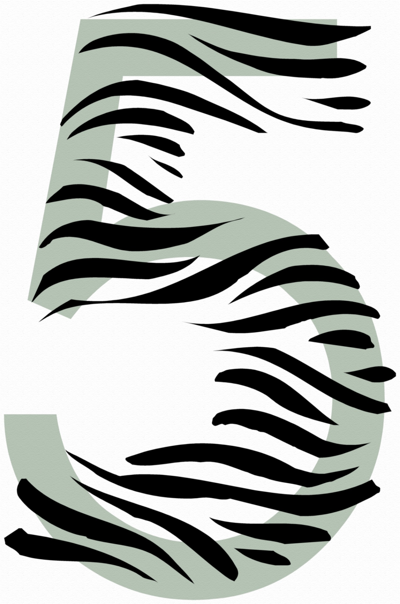 Número 5 Zebra