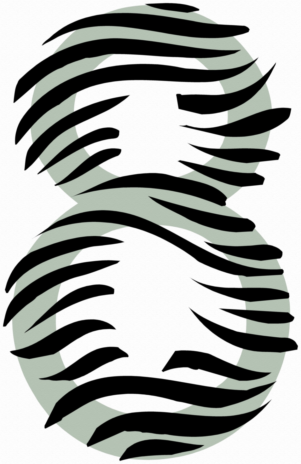 Number 8 Zebra