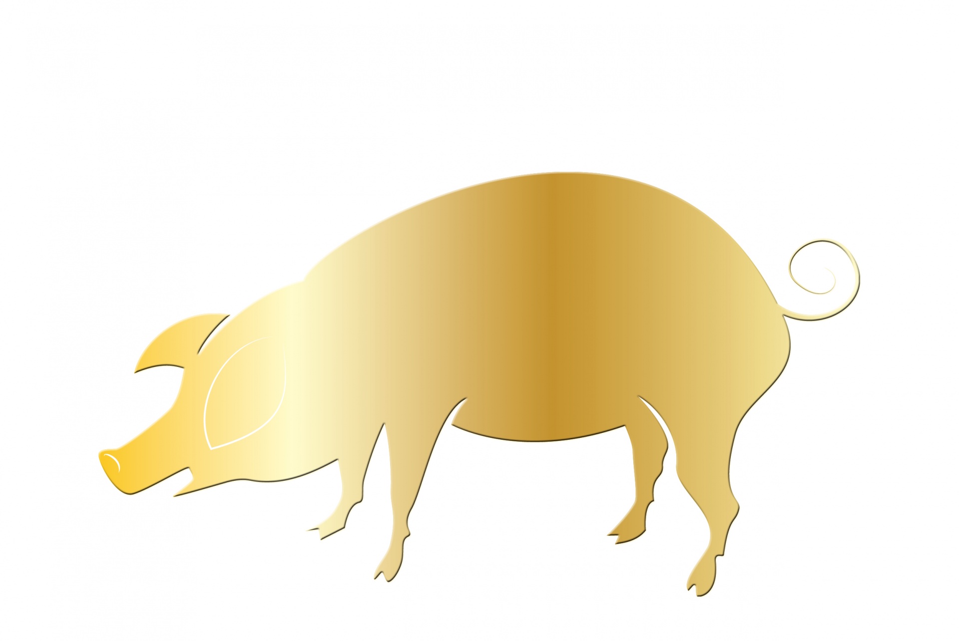 Cerdo de oro