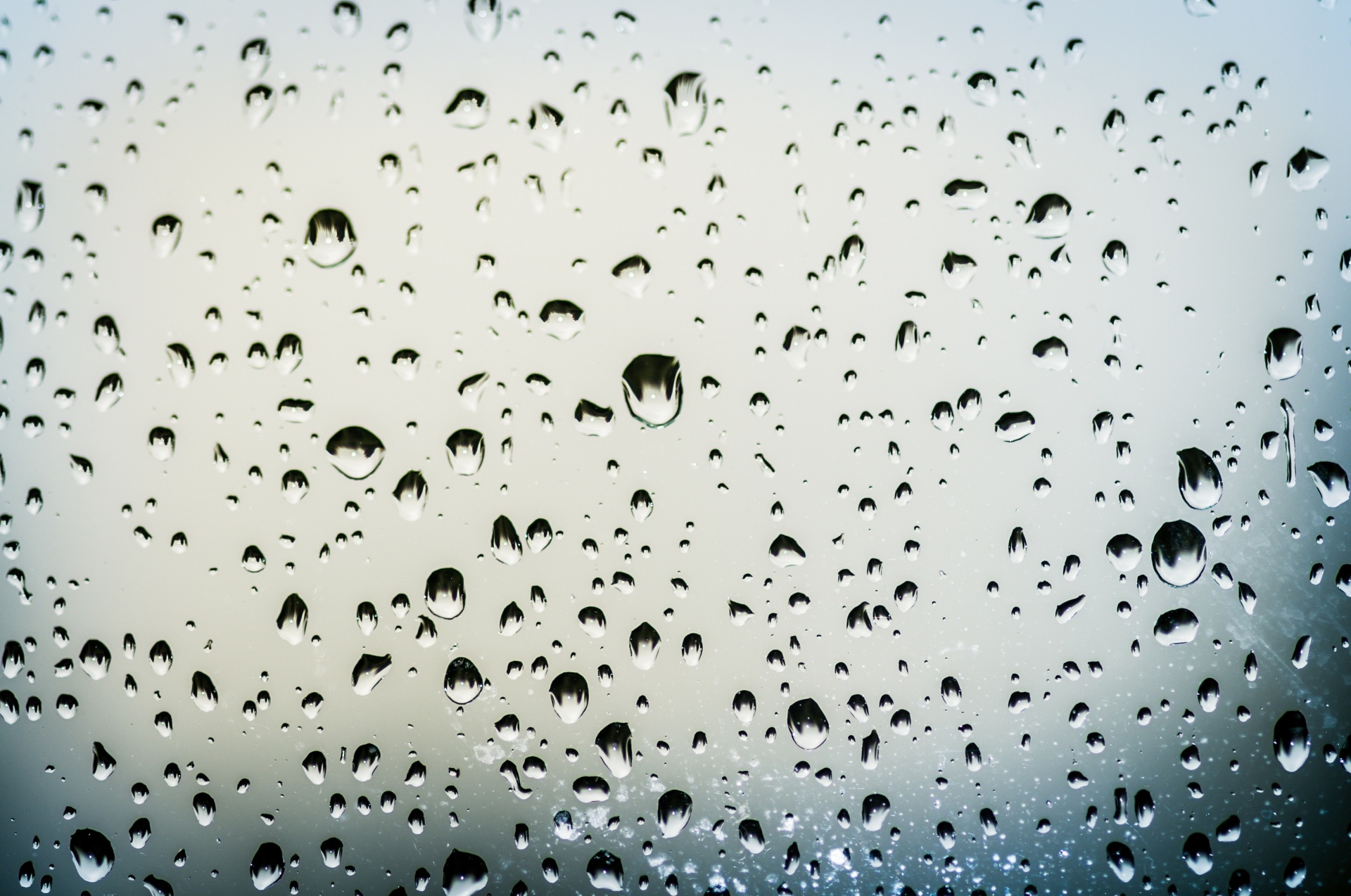 Gotas de água, chuva, tempo