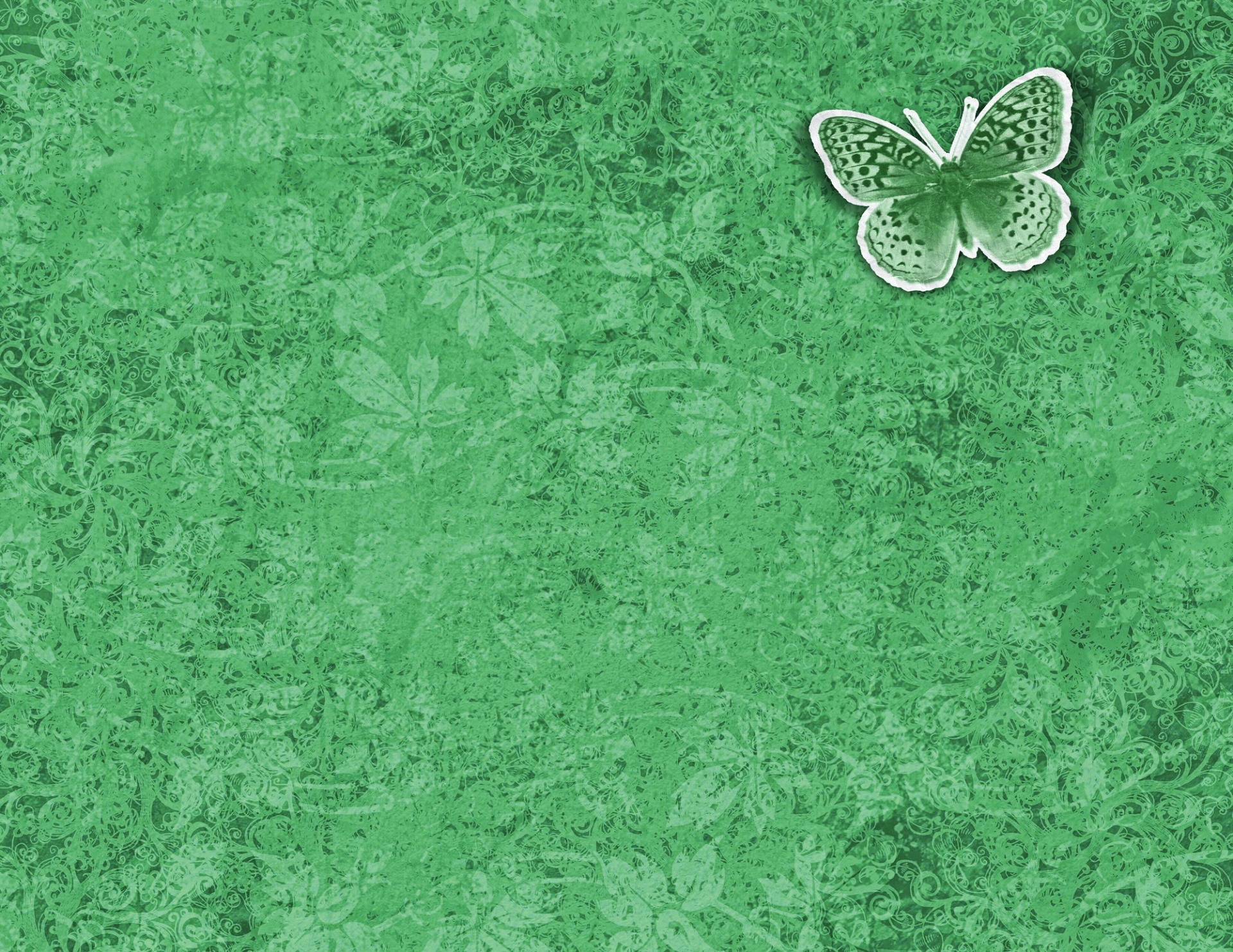 Green Background With Butterfly