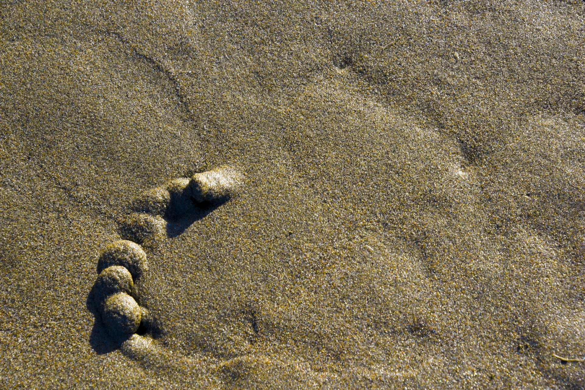 Tracks caranguejo eremita
