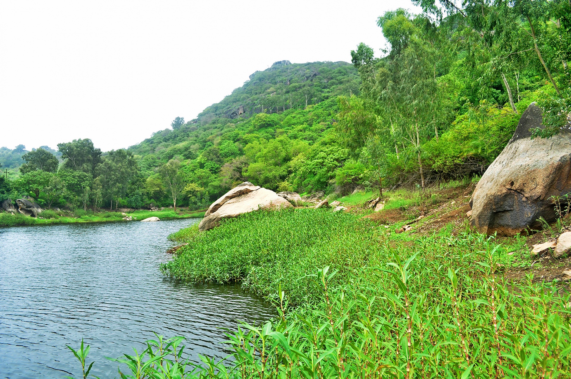 Hill Station In Monsoon 5