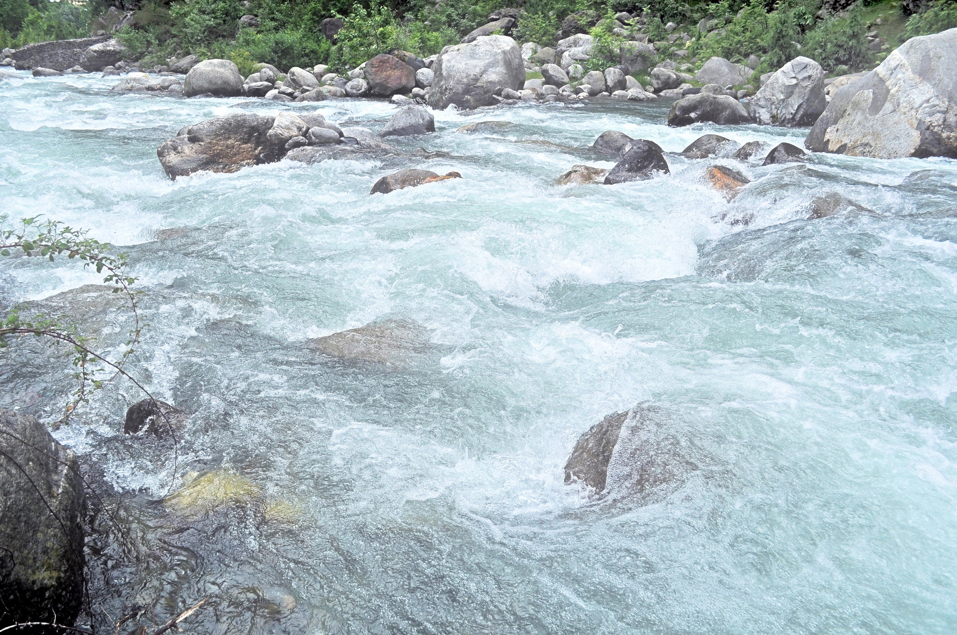 Himalayan Creek 1