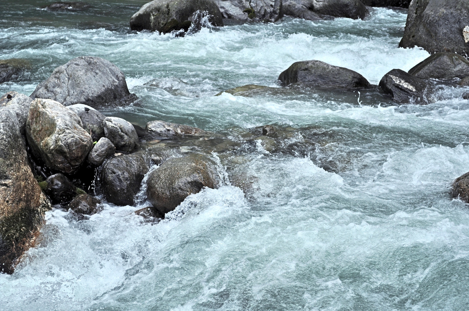 Himalayan Creek 4