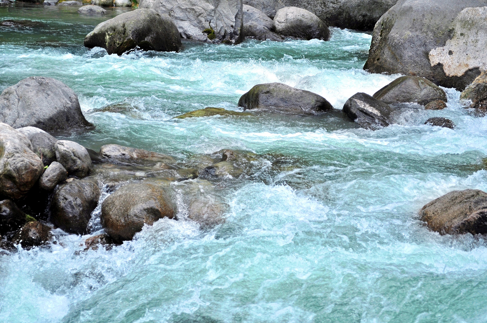 Himalayan Creek 6