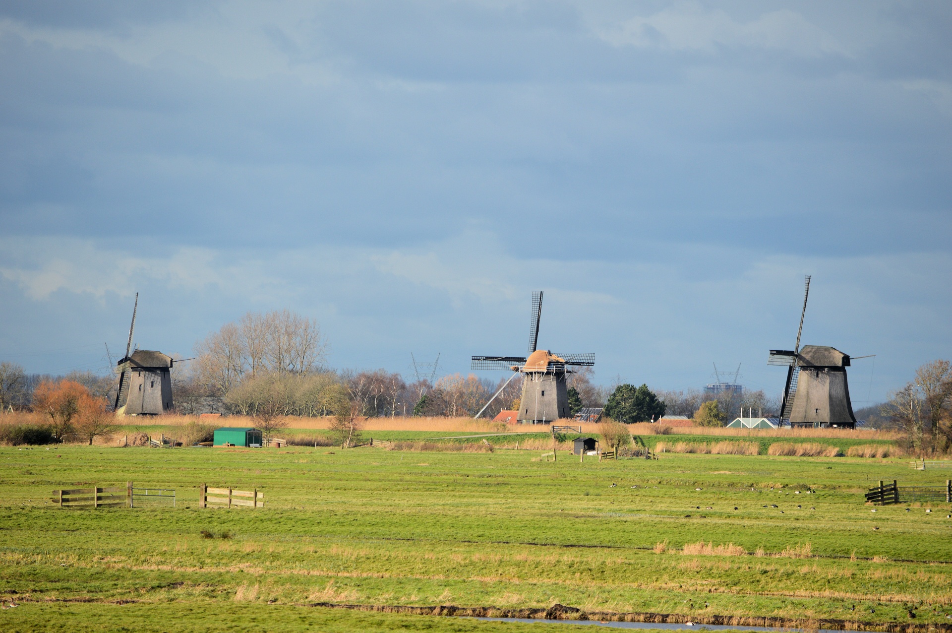 オランダの風景