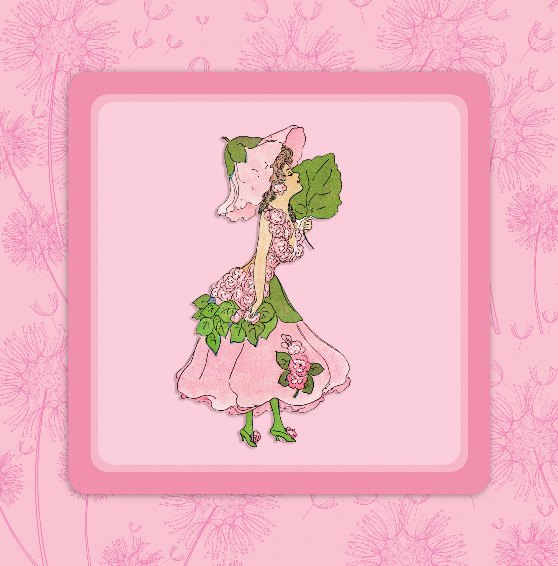Hollyhock rosado del niño de flor