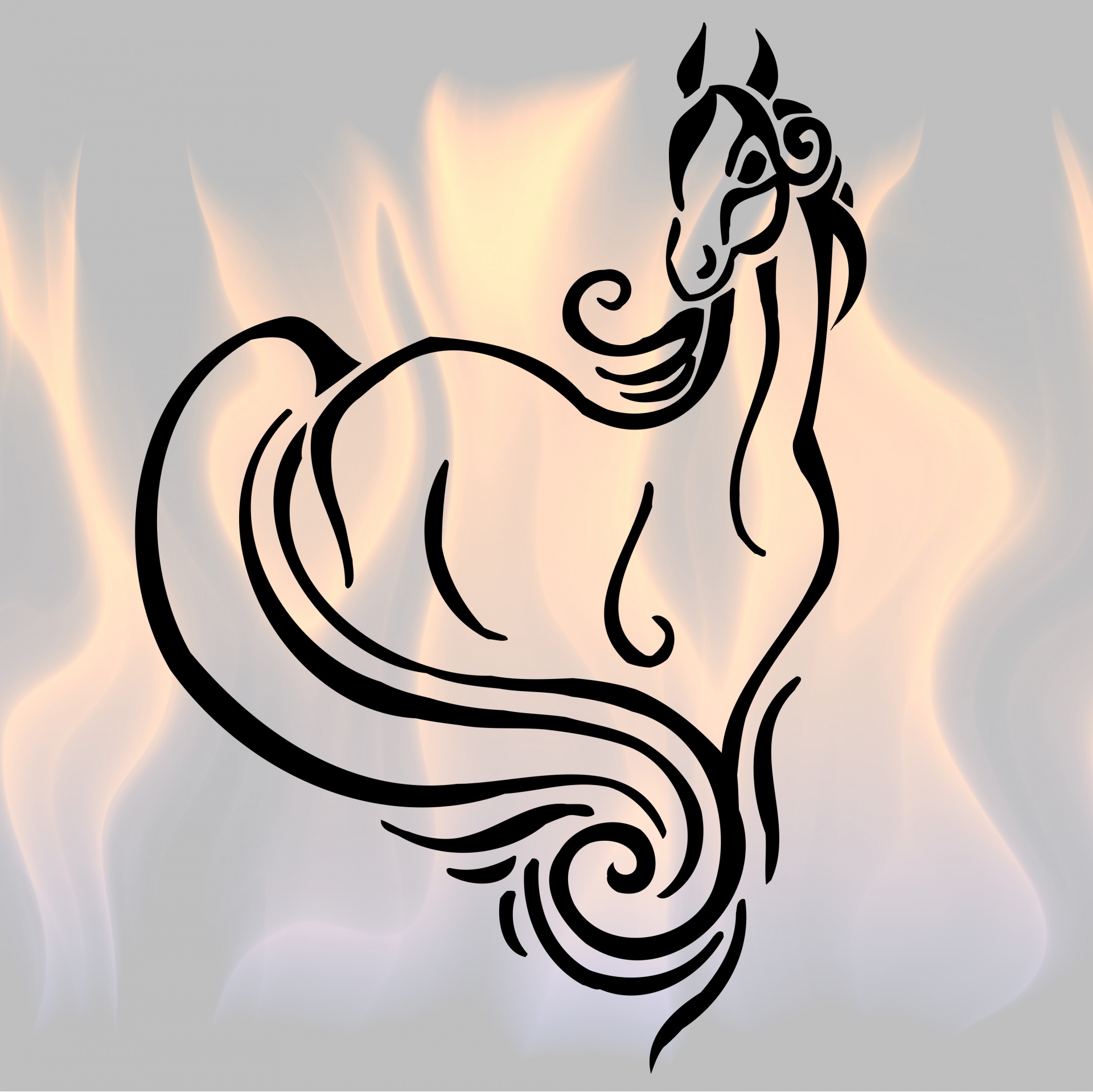 Cavalo em chamas 2