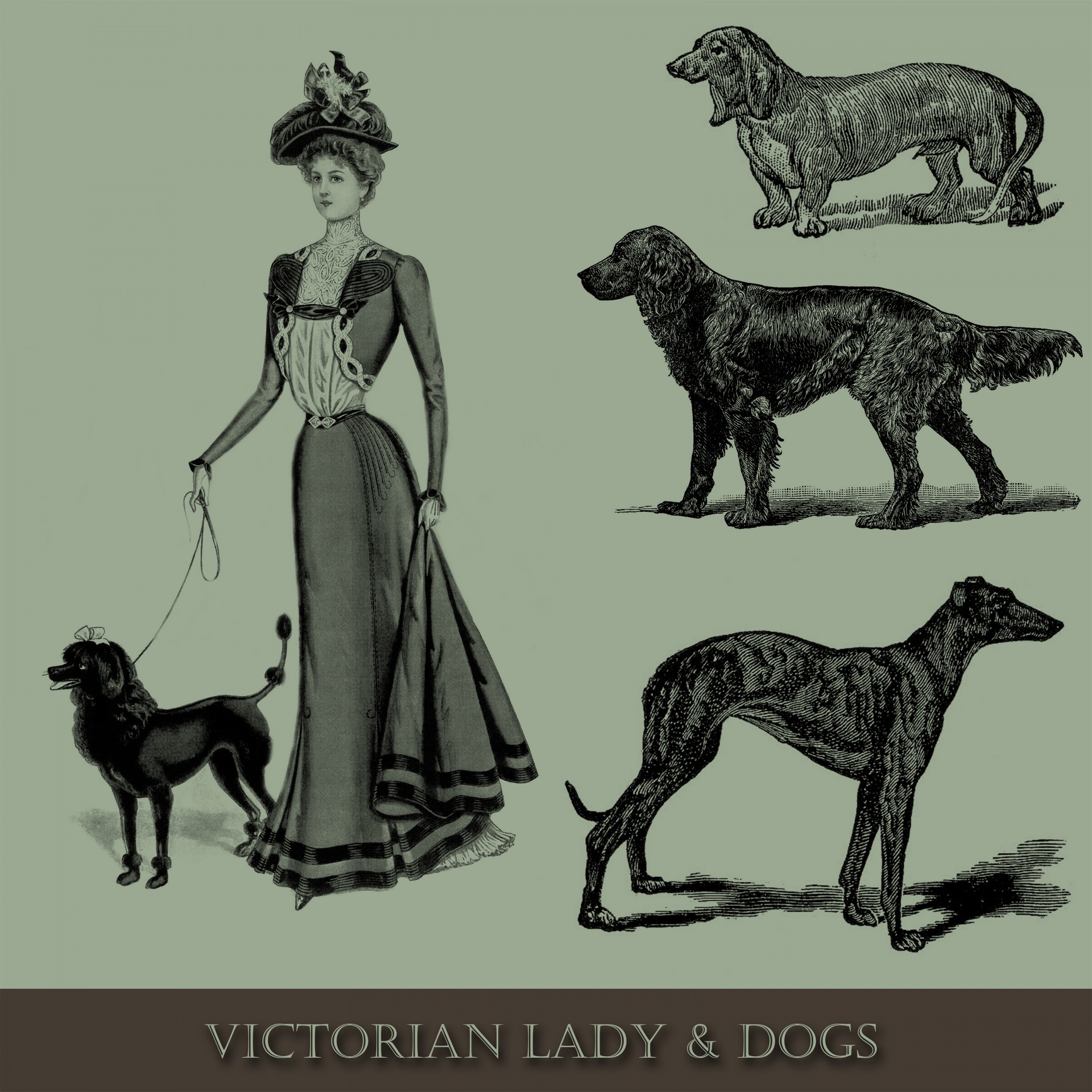 Lady Dog Walking Vintage