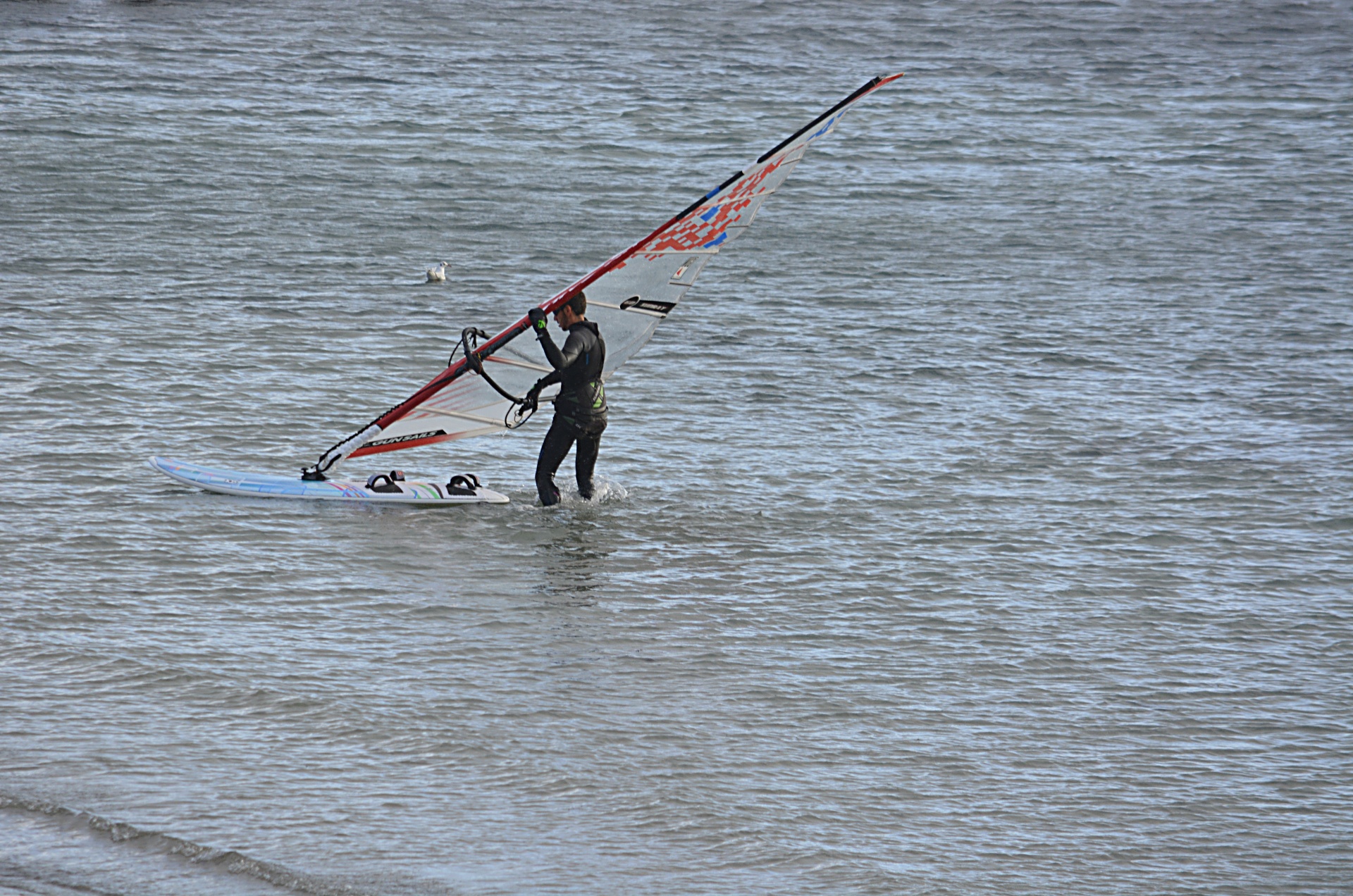 La windsurfista