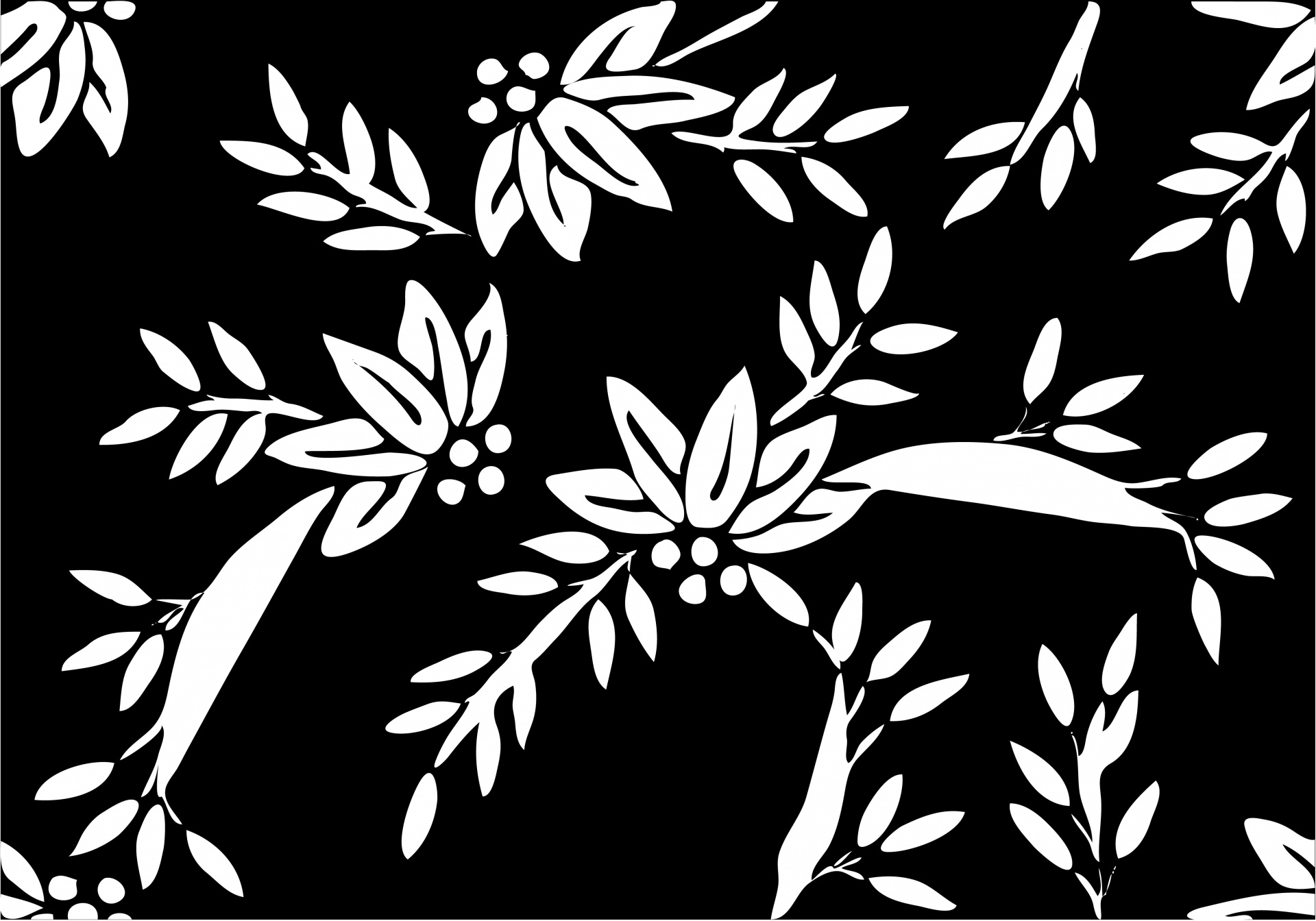 Listí Tapeta černá bílá