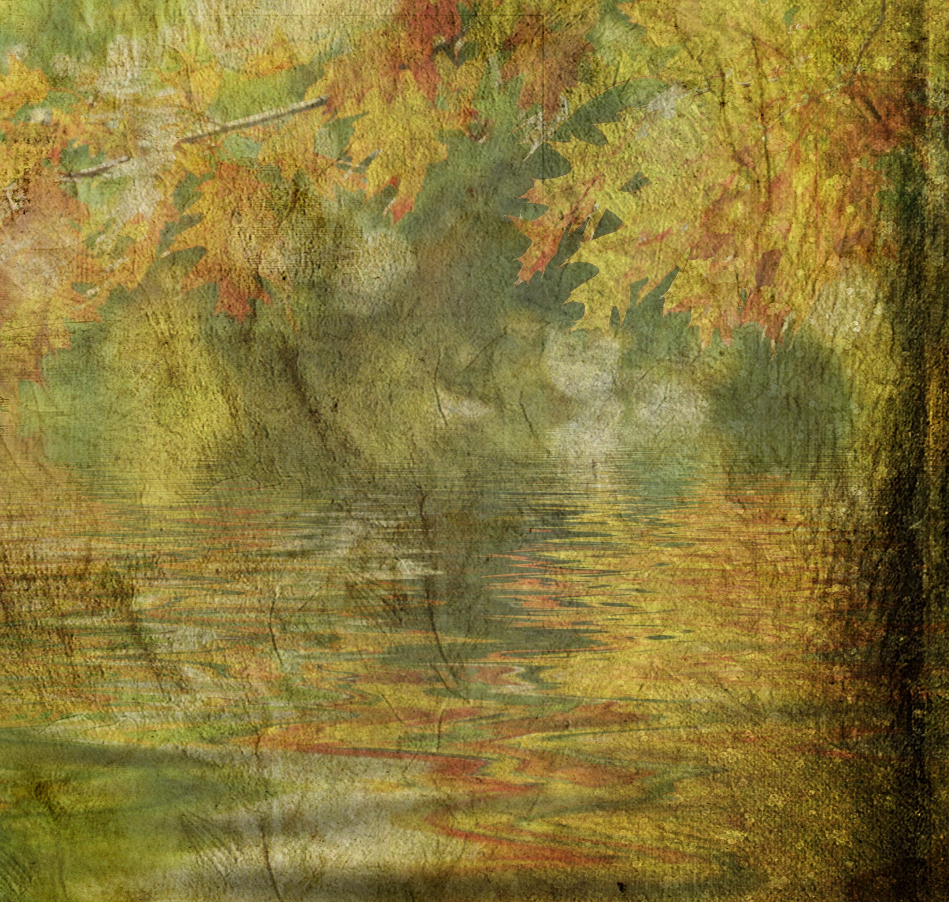 葉、水の背景テクスチャ