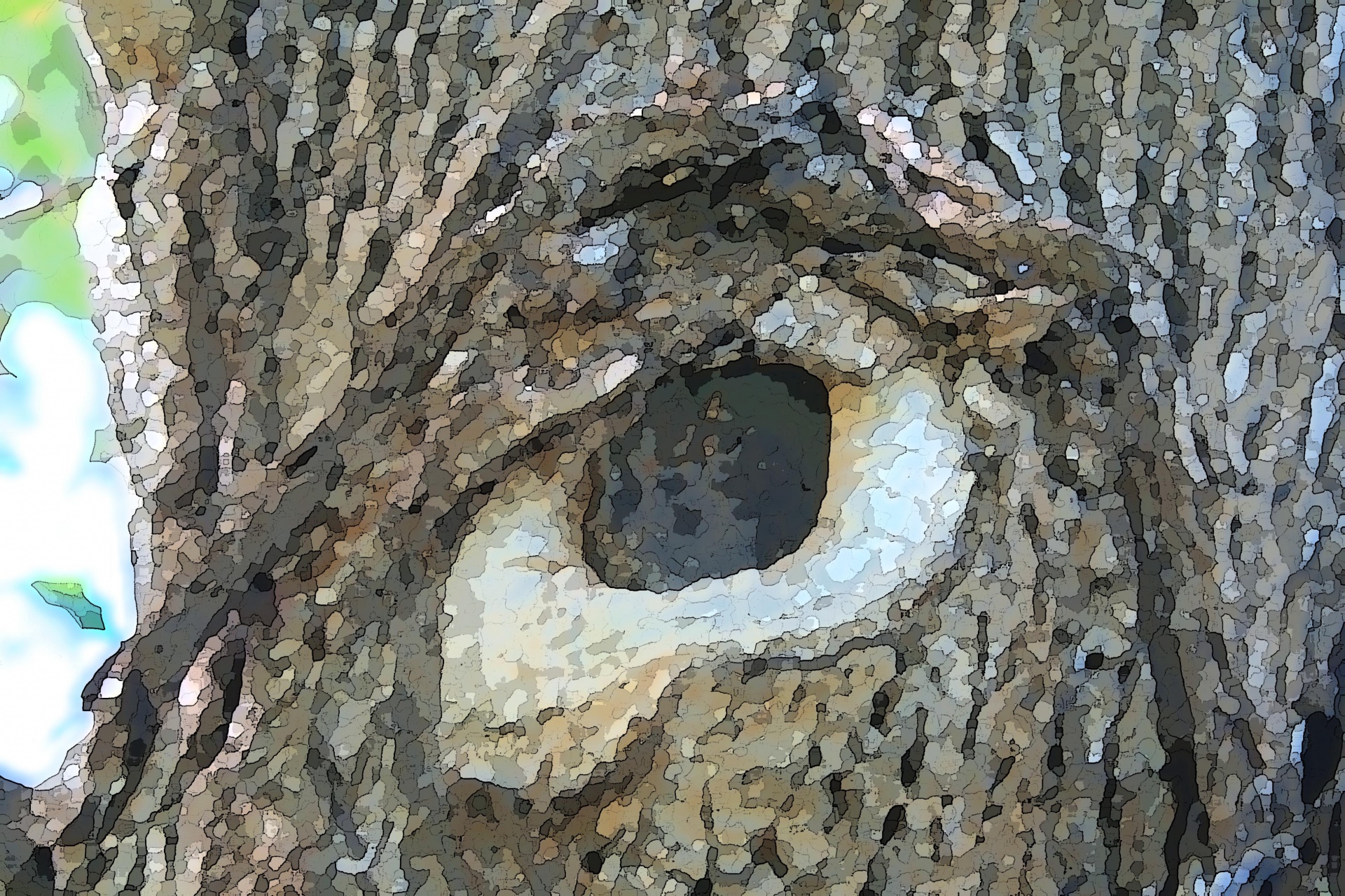 Lesão no olho tronco de árvore que se as