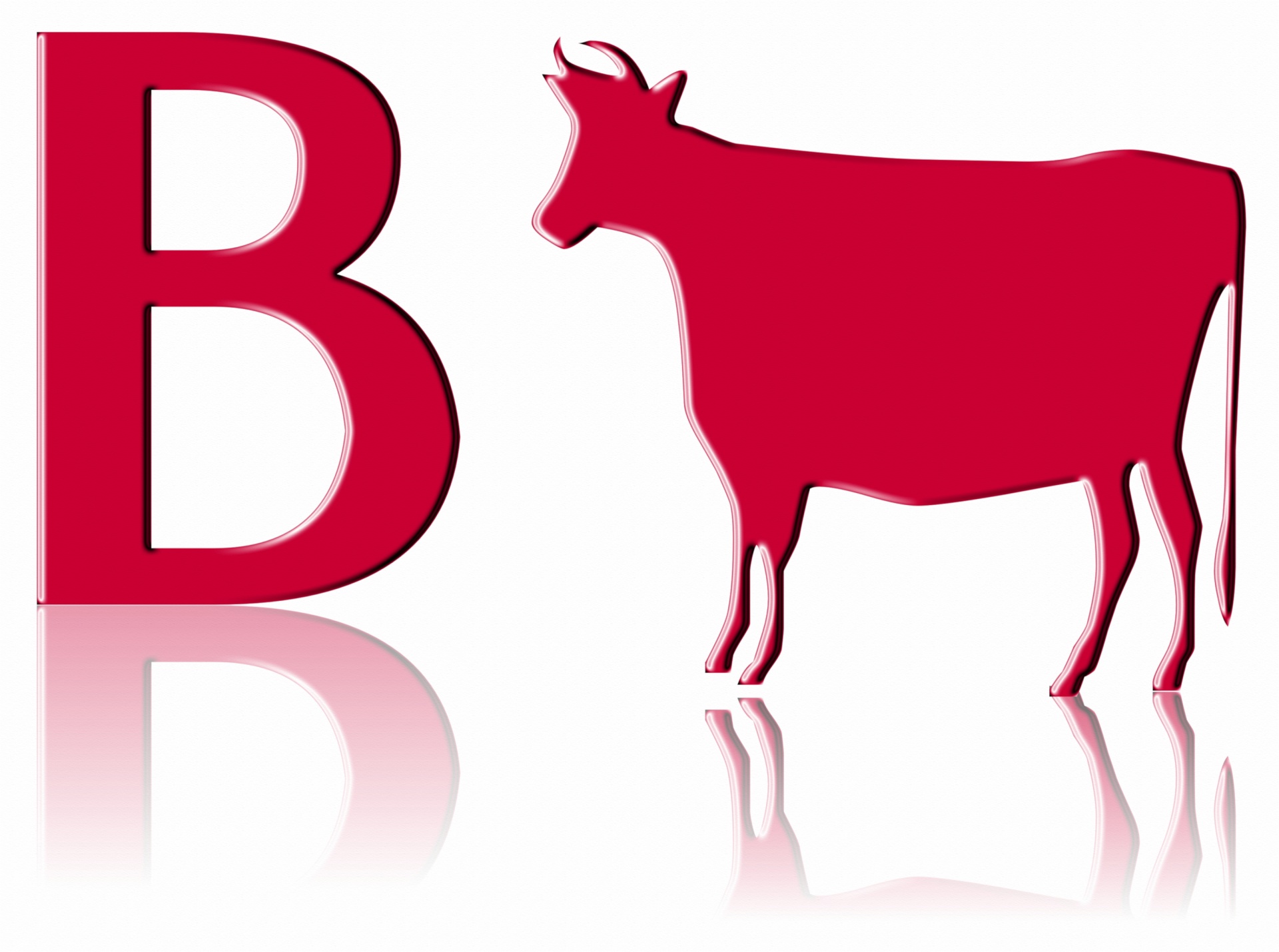 Letter B Of Bull